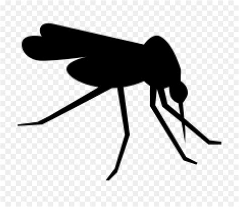 Mosquito Png Image Moustique Tigre - Clip Art Library