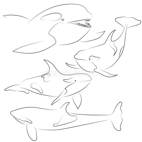 Breaching Whale Drawing Stock Illustrations – 95 Breaching Whale ...