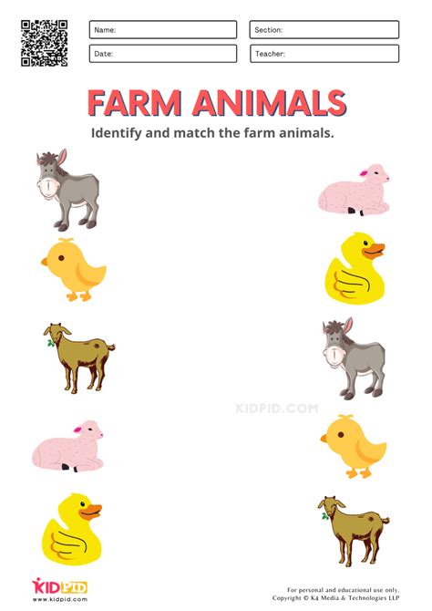 Farm Animals Worksheets for Kindergarten - Kidpid