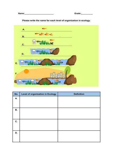 Levels of organization worksheet