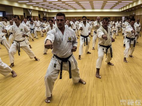 An afternoon of Shotokan: Japan Karate Shoto Federation’s International ...