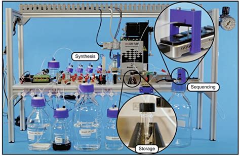 DNA DATA STORAGE IS THE FUTURE – Witan World