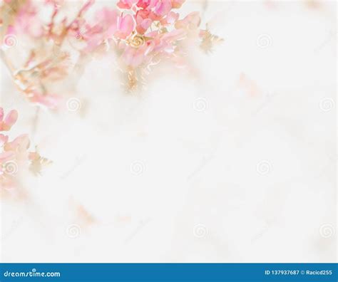 77 Background Flower Background For FREE - MyWeb