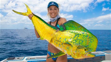 How To Fillet a MAHI MAHI & See What I Found in the BELLY! Dolphin Fish ...