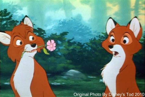 tod and vixey - The Fox and the Hound Photo (18194145) - Fanpop