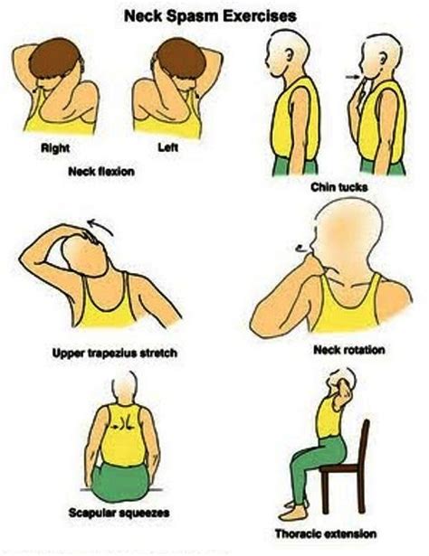 EXCLUSIVE PHYSIOTHERAPY GUIDE FOR PHYSIOTHERAPISTS: EXERCISE FOR NECK ...