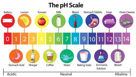 Water Quality 101: What Is pH in Water Testing?