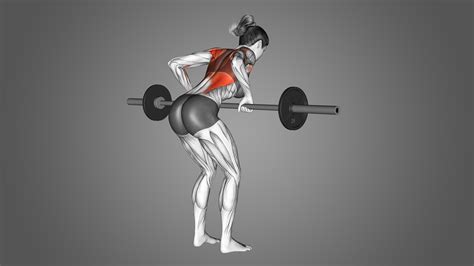 6 Best Types of Barbell Row Variations (with Pictures!) - Inspire US