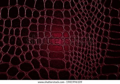 Dark Crocodile Skin Texture Red Color Stock Photo 1981996109 | Shutterstock