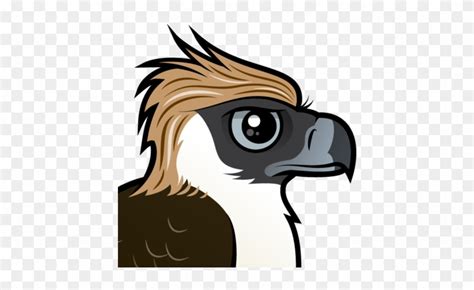 Philippine Eagle Drawing