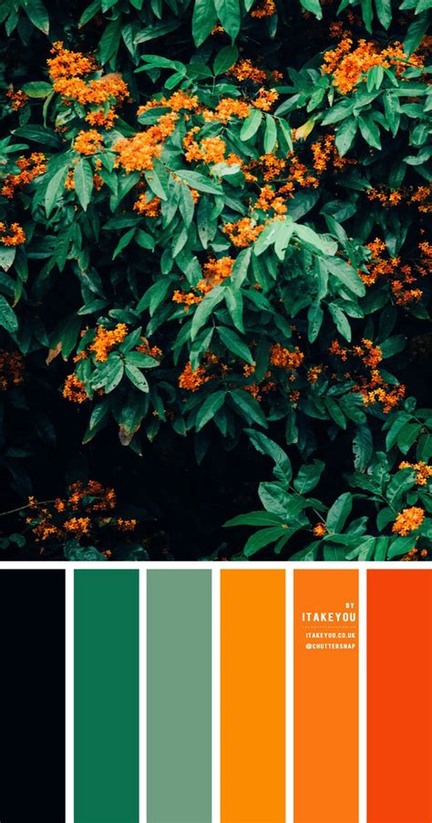 colour palettes Archives 2 - I Take You | Wedding Readings | Wedding ...