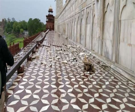 Taj Mahal Damage Due To Rain : कुछ देर का तूफान ताज को दे गया कई जख्‍म ...