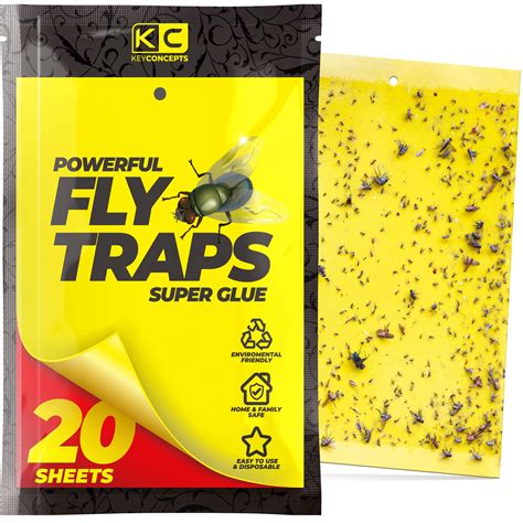 Katchy Indoor Insect Trap - Catcher & Killer for Mosquito, Gnat, Moth ...