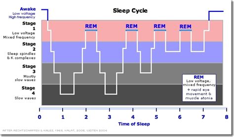 Triphasic Sleep | Alongside Me