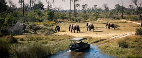 The Best Tourist Attraction to visit in Botswana in 2022