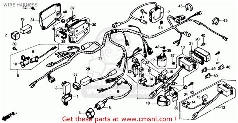 1999 Honda fourtrax 300 wiring diagram