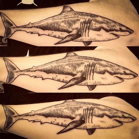 My latest shark tattoo...Great White Shark based on Bruce (aka Zapata ...