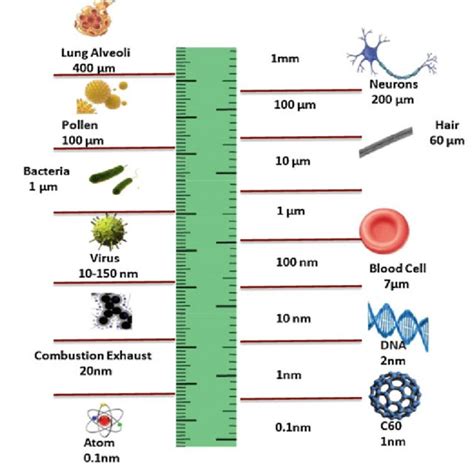 Scale of science from millimeter (mm) to nanometer (nm) | Download ...