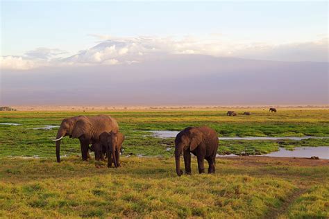 2 Days Arusha National Park & Kilimanjaro Safari - Zanzibar Nature Trails