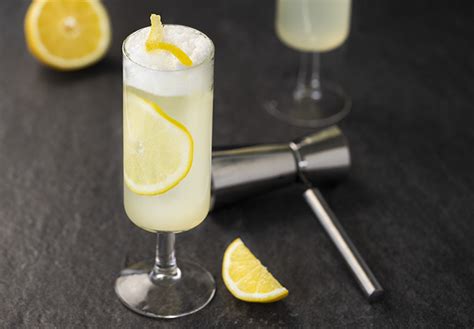 Classic Gin Fizz Cocktail - Utopihen