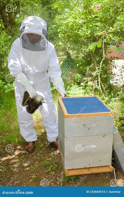 Man working on bee hive stock photo. Image of insect - 233684510