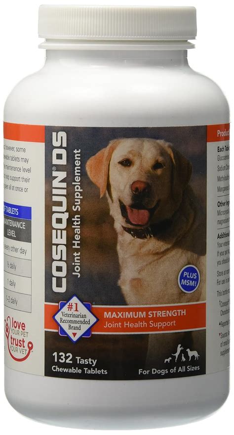 The Best Joint Supplements For Dogs 2018 [Read This Honest Review!]