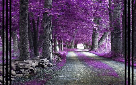 Purple Forest - Fantasy Wallpaper (28695054) - Fanpop