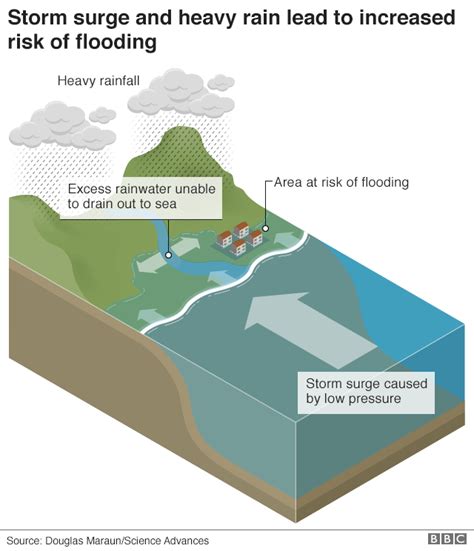 How To Prevent Or Reduce Flooding - Documentride5