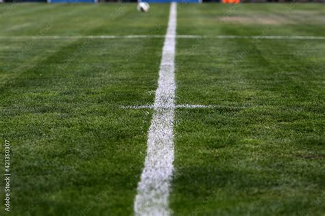 White chalk lines marking a soccer field for playing soccer. Football ...