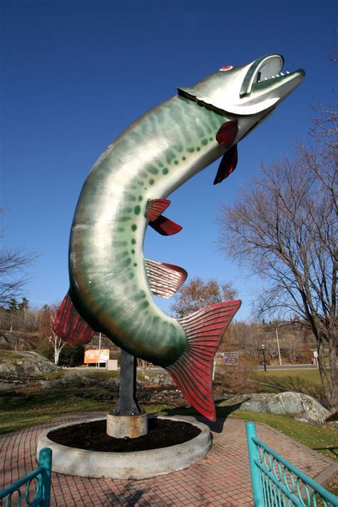 with quarter, for scale | Roadside attractions, Street art, Giant fish