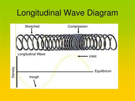 Diagram Of Longitudinal Wave