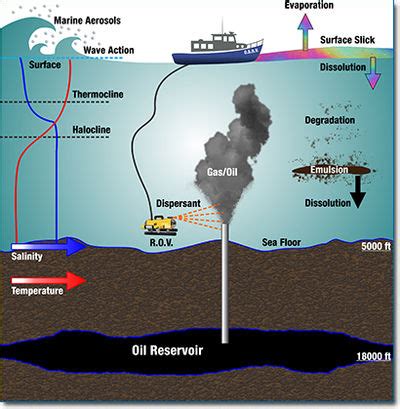 Oil spills - microbewiki