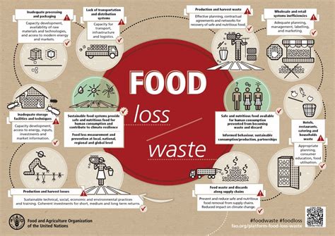 Food waste management innovations in the foodservice industry