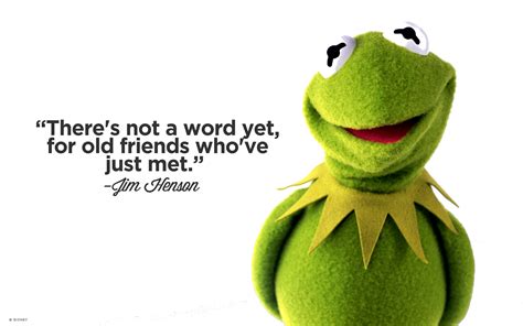 Kermit The Frog Funny Quotes. QuotesGram