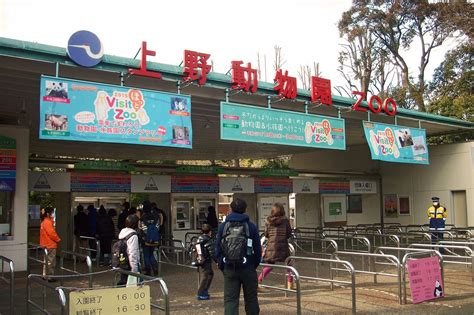 Ueno Zoo: Must Visit Zoological Gardens in Tokyo – Japan Travel Guide ...