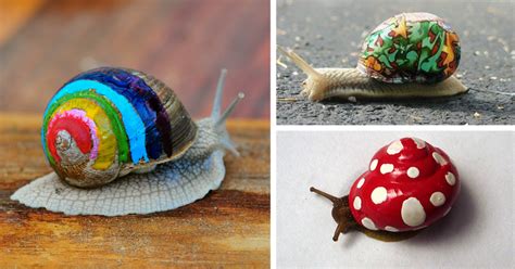 To Protect Snails From Being Stepped On, People Paint On Their Shells ...