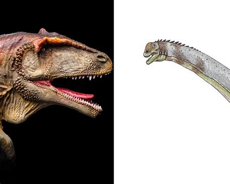 Carcharodontosaurus Vs. Paralititan: When The Speed Wins