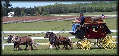 These 8 Miniature Horse Carts Are Totally Adorable! | Horses, Miniature ...