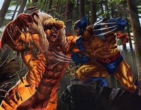 Wolverine vs Sabretooth WIP Fan Art by me : Marvel