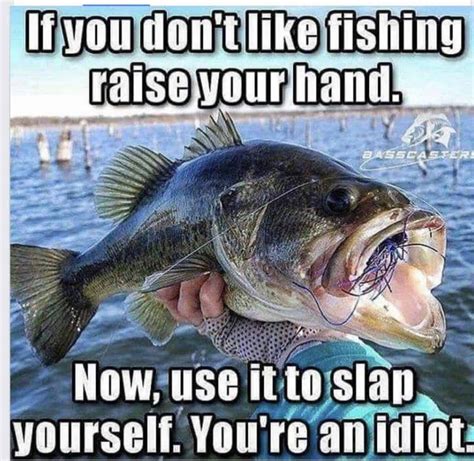 Funny Fishing Memes sure to make your friends laugh. | Fishin Money ...