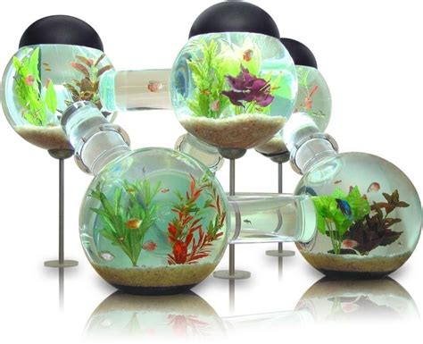 5 Cool Modern Fish Tank Designs | Designs & Ideas on Dornob