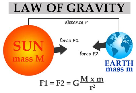 The Law of Gravity - KidsPressMagazine.com