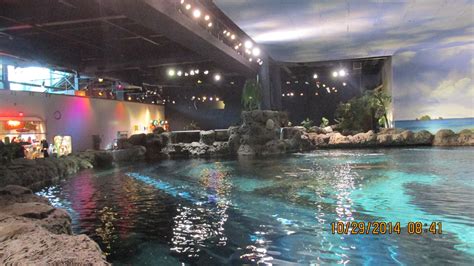 Ripley’s Aquarium of the Smokies | Gatlinburg Aquarium Tickets