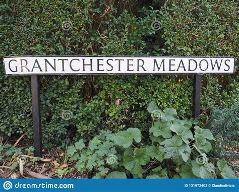 Grantchester Meadows in Cambridge Stock Image - Image of floyd ...