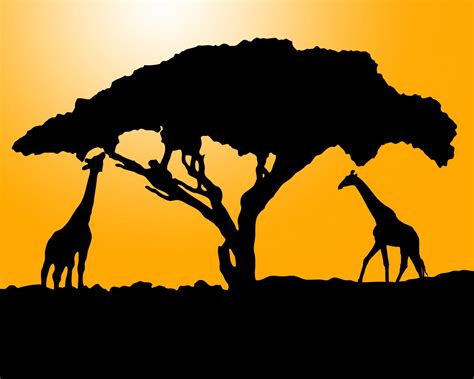 Giraffe Silhouette At Sunset Free Stock Photo - Public Domain Pictures