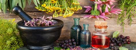 Fitoterapia y el uso de las plantas medicinales –canalSALUD