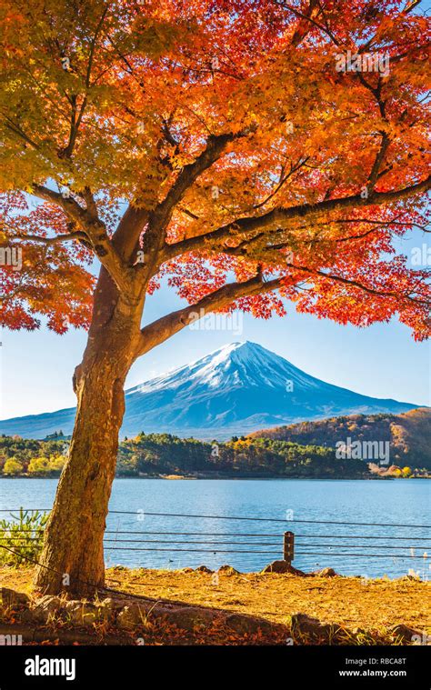 Fuji five lakes hi-res stock photography and images - Alamy