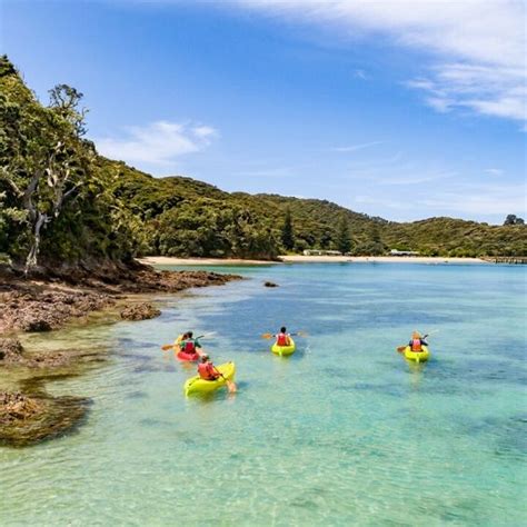 🦌 Kayaking Bay of Islands - Wicked Bucks