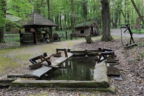 Musée de la forêt | Mairie de Renwez