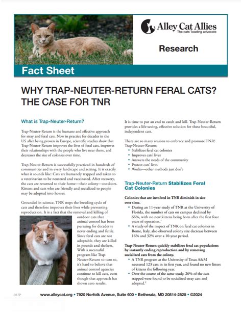 Why Trap-Neuter-Return Feral Cats and What is TNR? | Alley Cat Allies